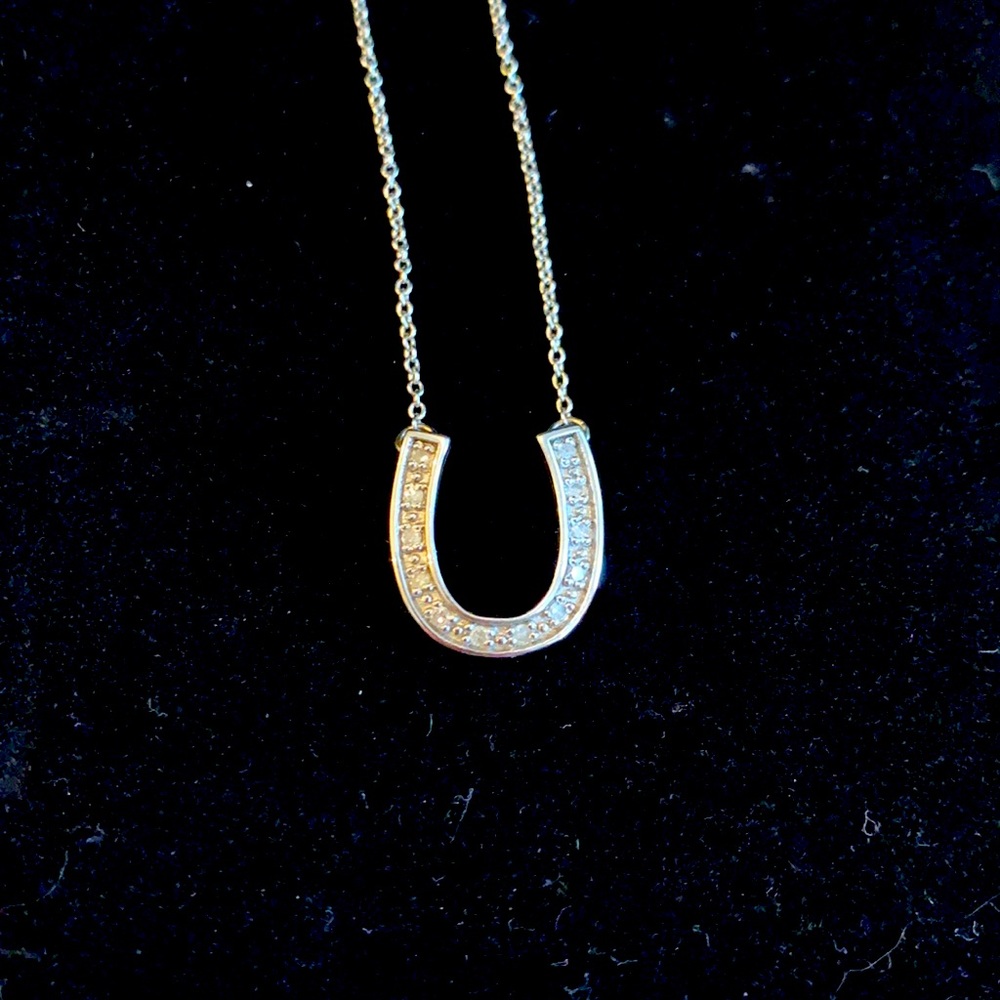 925 Sterling Silver Horseshoe Necklace w pave CZ